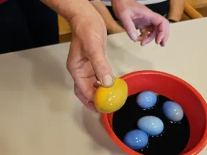 whatsapp image 2026-04-14 at 14.48.33 2